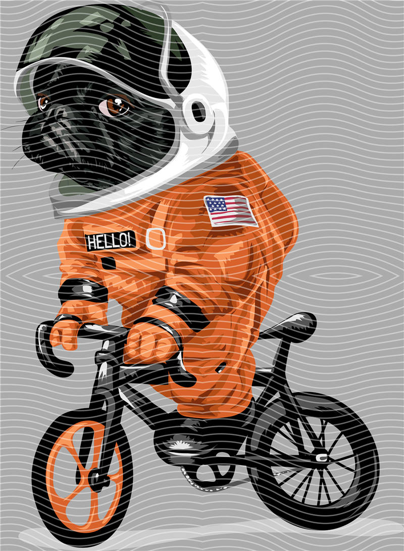 Cool Bear-X 123